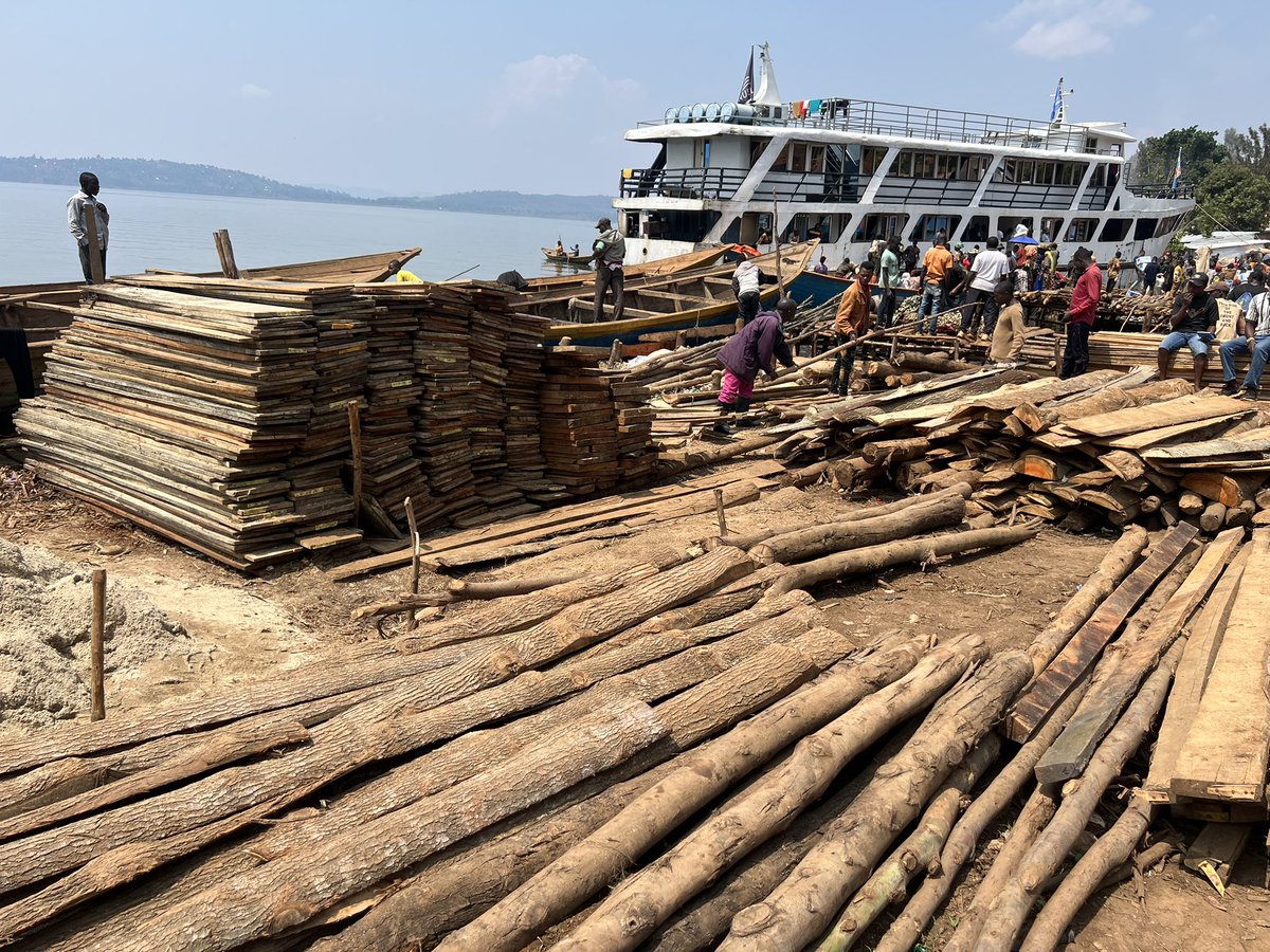 JustinNkumbarhi's tweet image. Le business de sticks d’arbres et des planches se portent bien dans le site d’exploitation artisanale de l’or de Lomera dans le groupement de #Luhihi, territoire de Kabare au Sud Kivu.