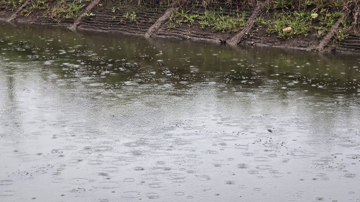 LHCRT1's tweet image. Rain didn’t stop Oscar and Michael from getting stuck in with towpath maintenance yesterday – even after completing their Gold @DofE expedition last week.
They even got to meet local MP @DaveR_Lichfield during their volunteering session.
