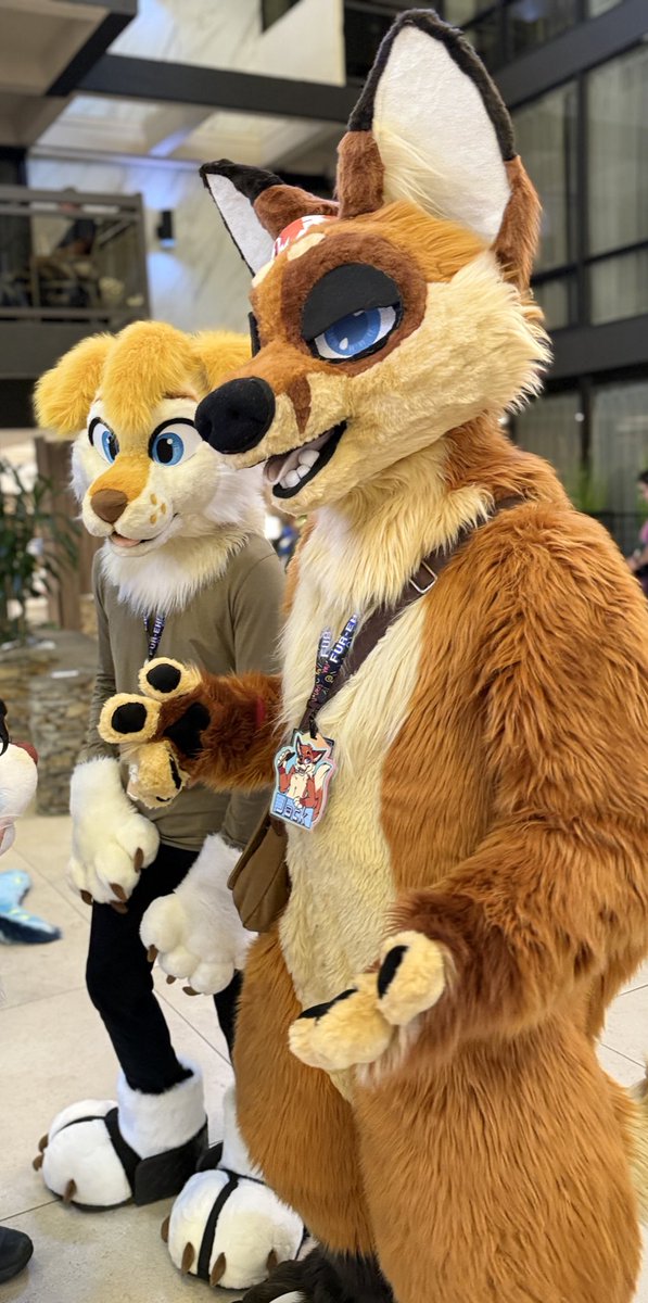 JackTheRedFox tweet media