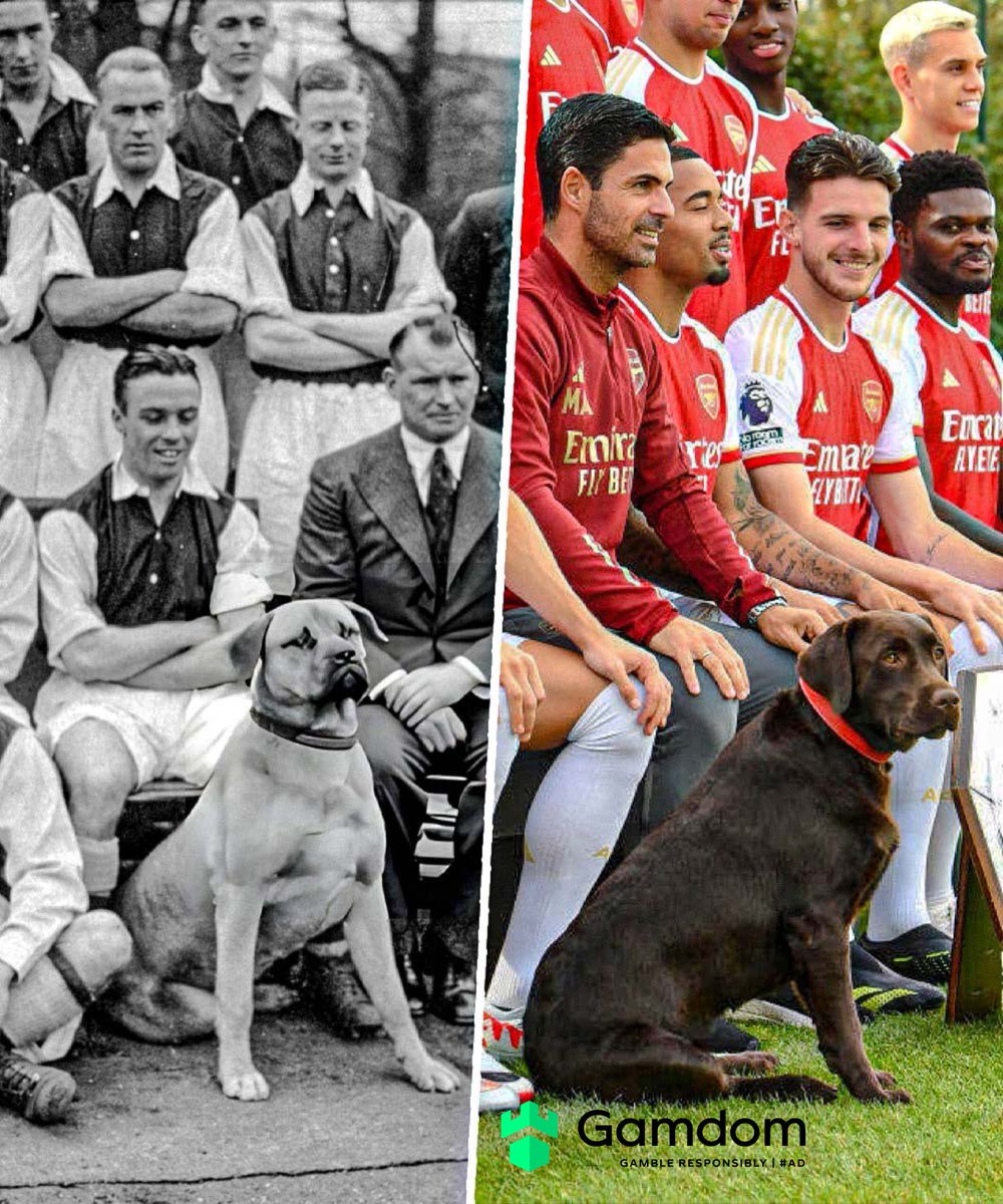 History. Class. Tradition.