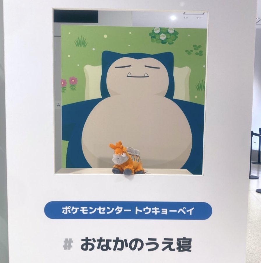 bxmxgm's tweet photo. #ポケスリ2周年をいっしょに 以前ポケセンで撮ったやつ 大きさバグすぎて愛おしい https://t.co/AM4RjcWY72