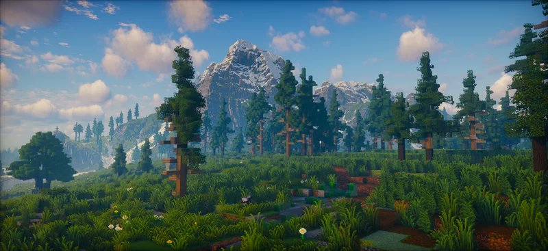 Did I ever post this picture?