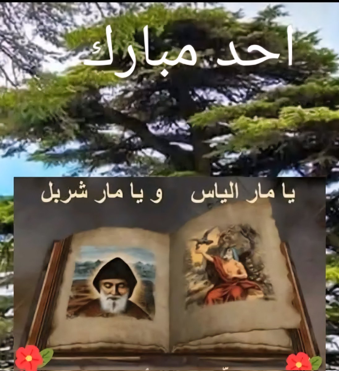GeorgetteSarkis's tweet image. يا رب، نحتاج اليوم الى سراج مار شربل ونبوءة مار الياس الحيّ ليُنيرا دربنا ونستمد منهما النور والحكمة ونتمثل بهما بالمحبة والثقة بك، أنت الإله القويّ والعظيم.
باركنا يا رب، نحن وكل من يحمل اسم شربل والياس، لعيش كلمتك بأمانة، آمين.
#احد_مبارك 
#صباح_الخير