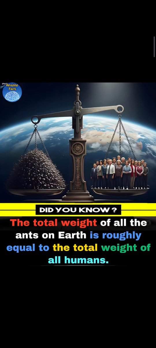 The World R🅰️nking (@worldranking_) on Twitter photo  The World R🅰️nking (@worldranking_) on Twitter photo