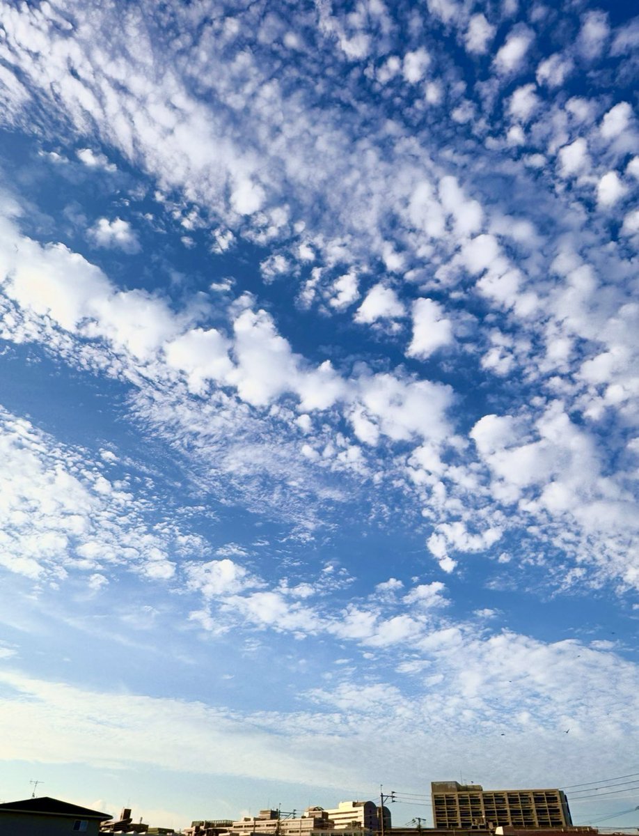 •*∴✧

連なって飛んでいくシャボン玉🫧

𓂃 𓈒𓏸💠⋆.
#空 #雲