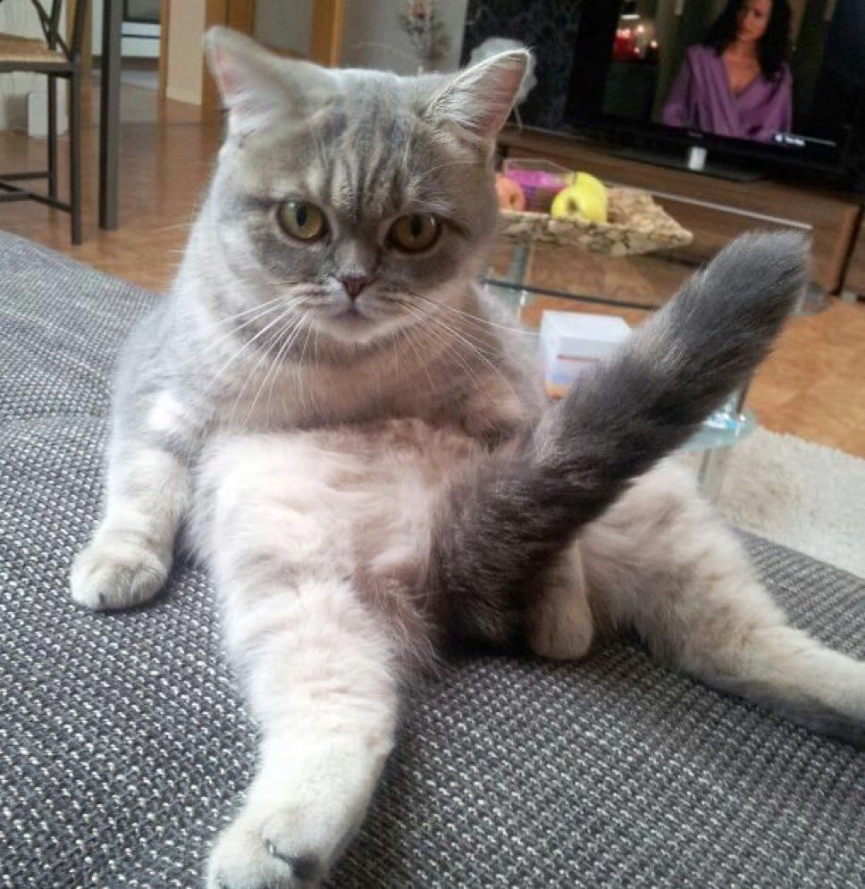 Looking at my $QUBIC longs like 😋