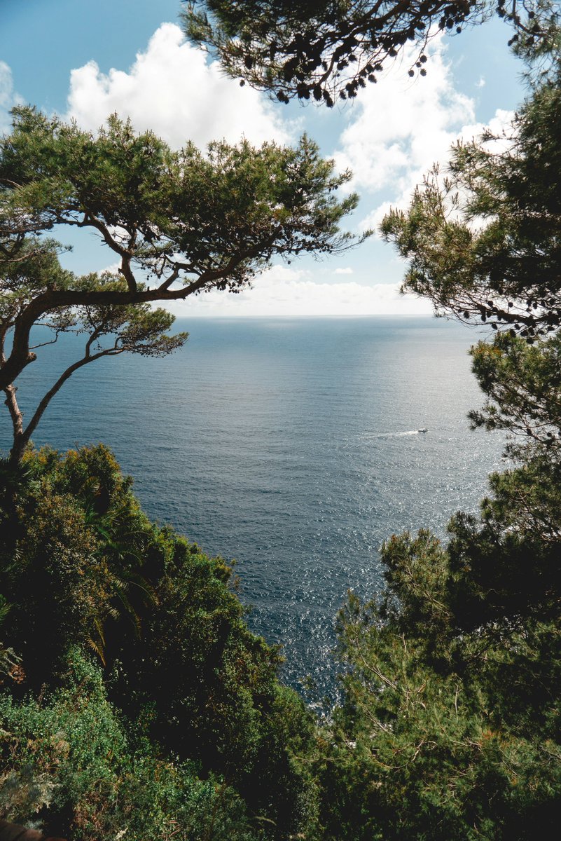 Capri, Italy 🍃