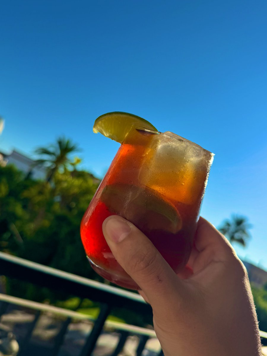 MuhacirEfendi's tweet image. Hear me out: coffee brewed with a little rose water, cardamom, clove and black pepper, served with tonic water, lime over ice 🥃🍋🟩
Best enjoyed on a Mediterranean balcony, good morning