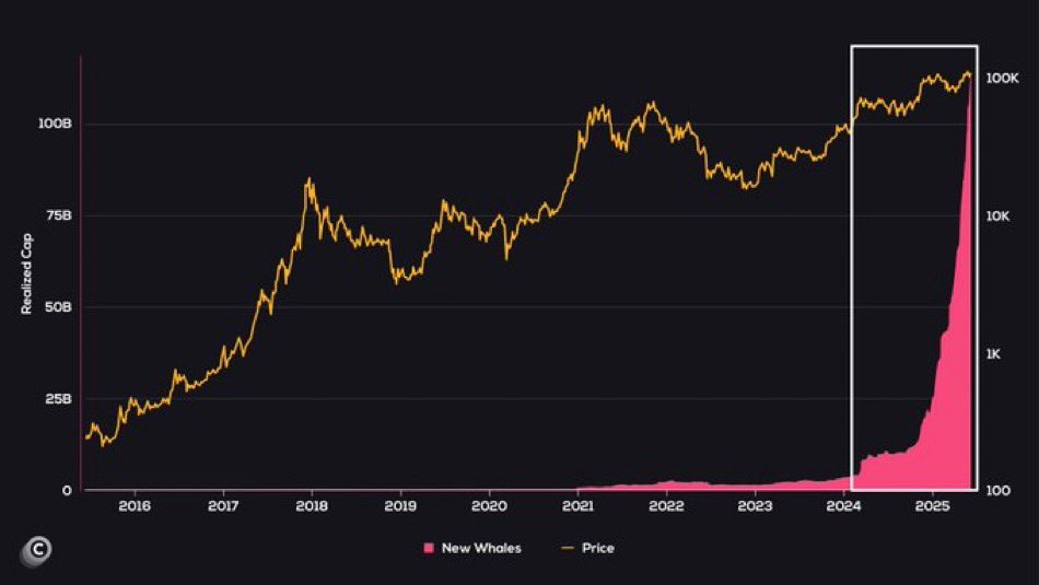kyle_chasse's tweet image. FOLLOW THE SMART MONEY.

AND SMART MONEY IS STILL STACKING!!!