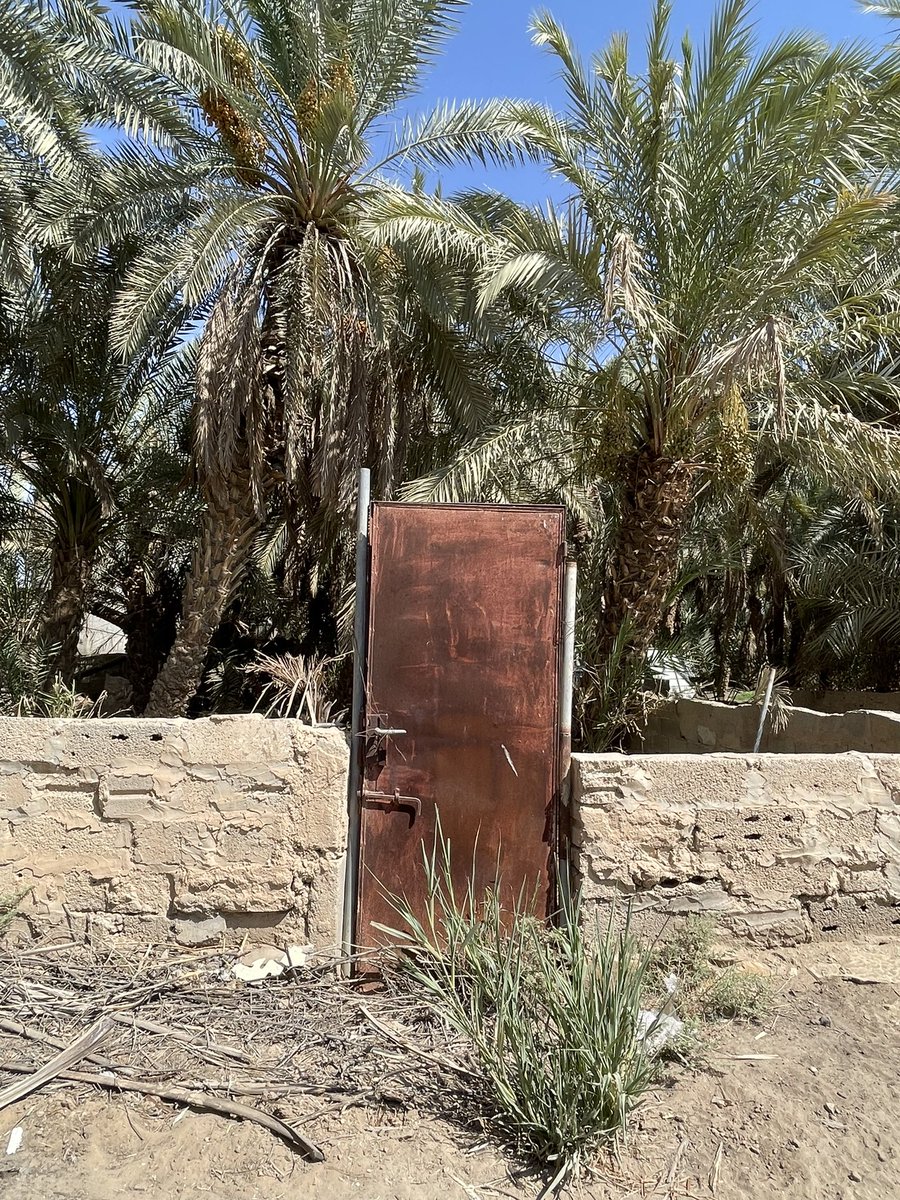 Sl00m_m's tweet image. 