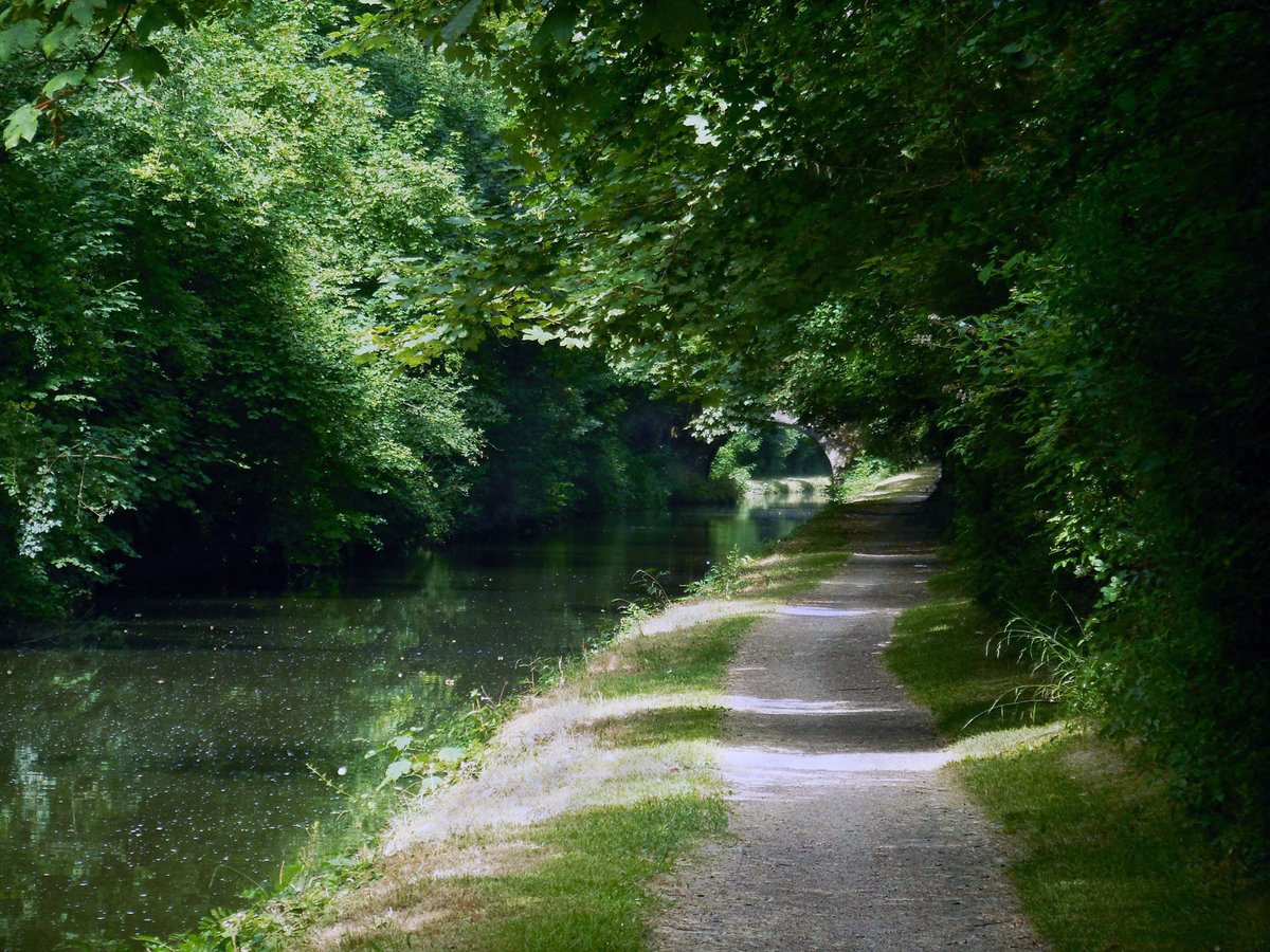 retired_tom's tweet photo. My photos from #July 2018
#CanalRiverTrust #GrandUnionCanal #TringSummit #Bridge #Reflections
#Canals & #Waterways can provide #Peace & #calm for your own #Wellbeing #Lifesbetterbywater #KeepCanalsAlive https://t.co/oMgXOfD3Lr