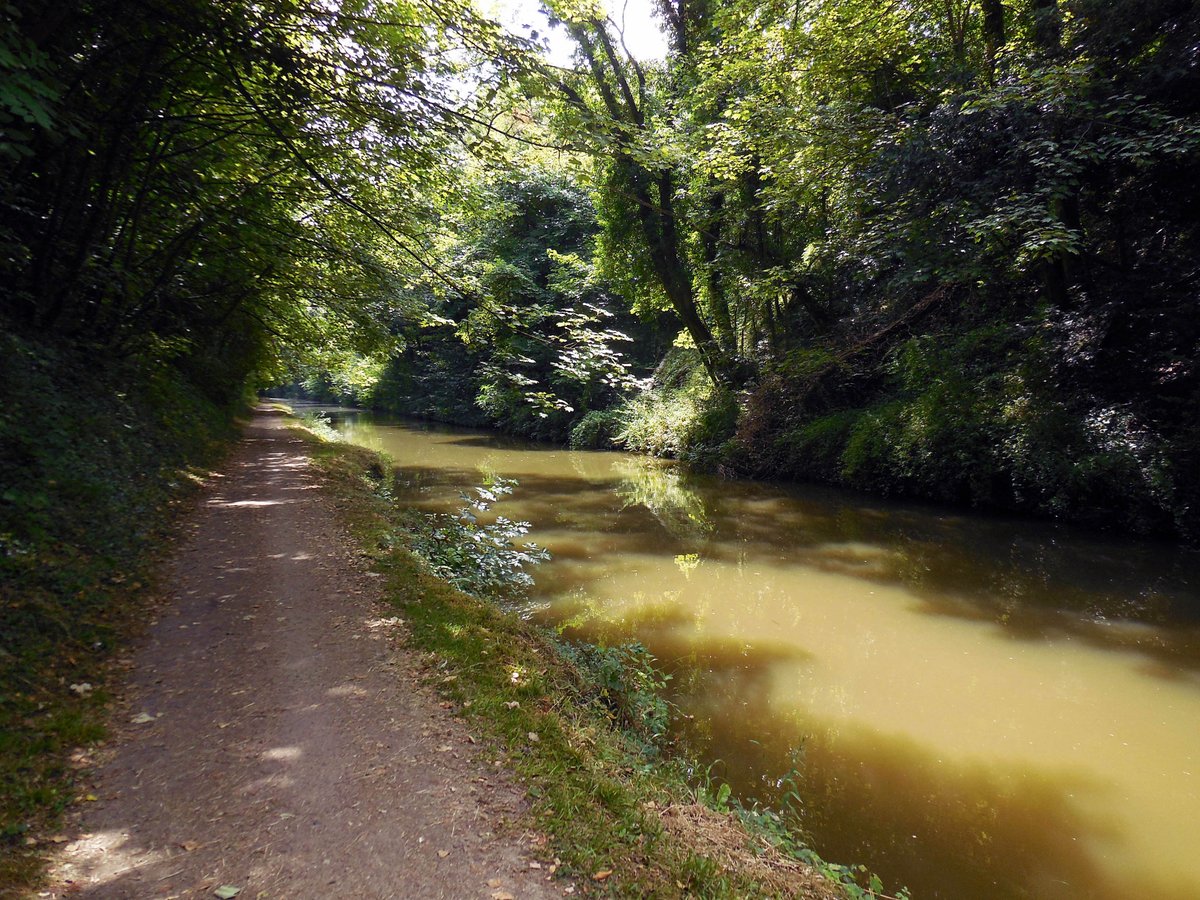 retired_tom's tweet photo. My photos from #July 2018
#CanalRiverTrust #GrandUnionCanal #TringSummit #Bridge #Reflections
#Canals & #Waterways can provide #Peace & #calm for your own #Wellbeing #Lifesbetterbywater #KeepCanalsAlive https://t.co/oMgXOfD3Lr
