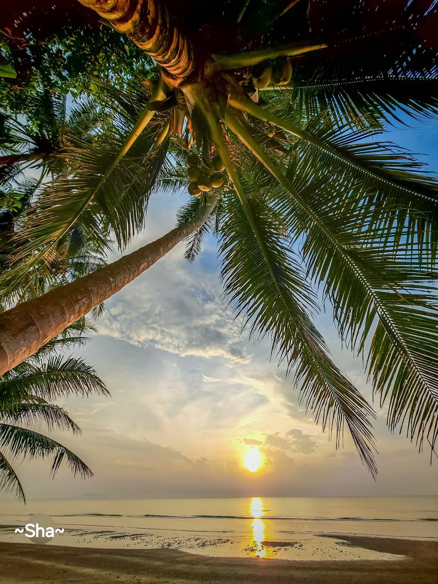 sha_m292411's tweet image. ❤️POSITIVE VIBES❤️
Treat everyone with kindness and respect, even if they show you disrespect💕
🌸Prophet Muhammad (PBUH)🌸
Nothing reaches you....except by the will of GOD🤲💕
🇲🇾❤️~Beautiful sunrise~my heaven on earth😘