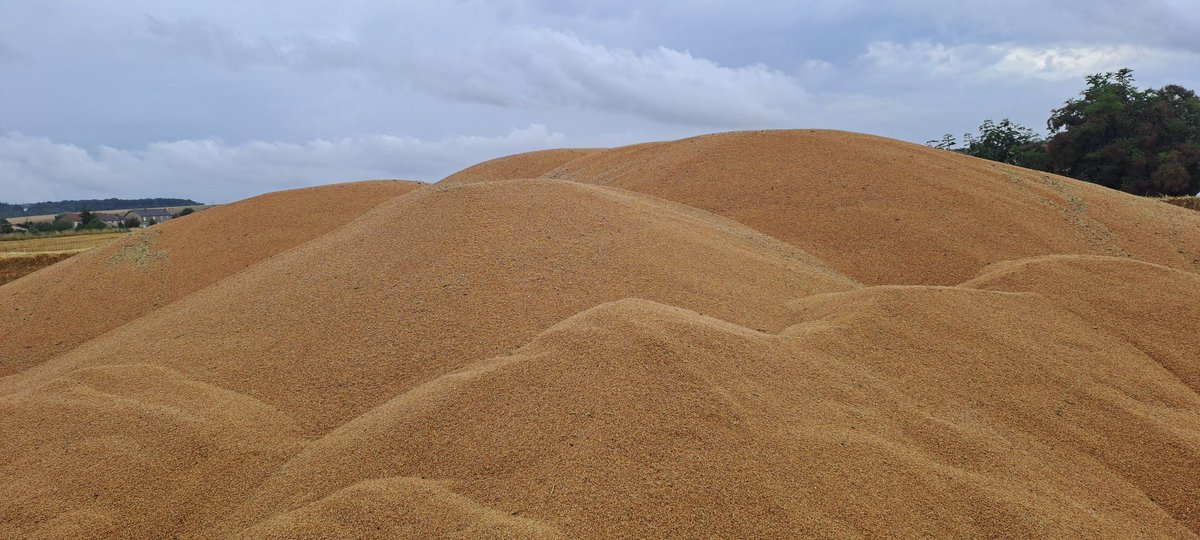 philippe hennebert tweet media