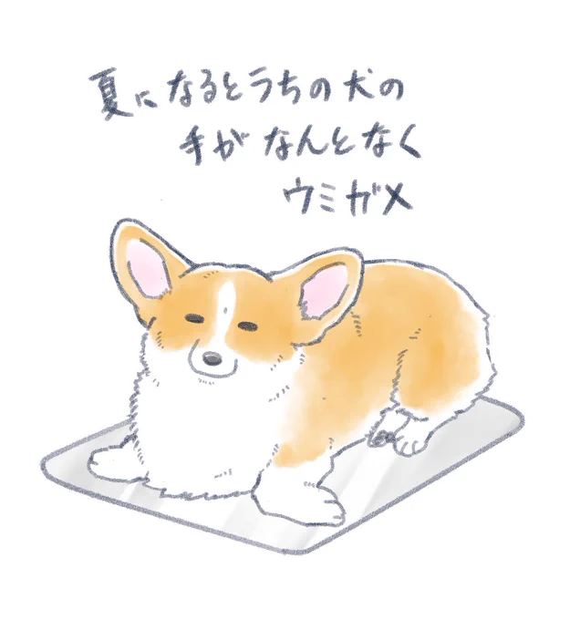夏になるとアルミプレートの上でこうなる(冬はならない)