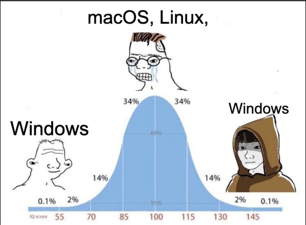 arpit_bhayani's tweet image. call me a noob or a pro, but windows &amp;gt;&amp;gt;&amp;gt;