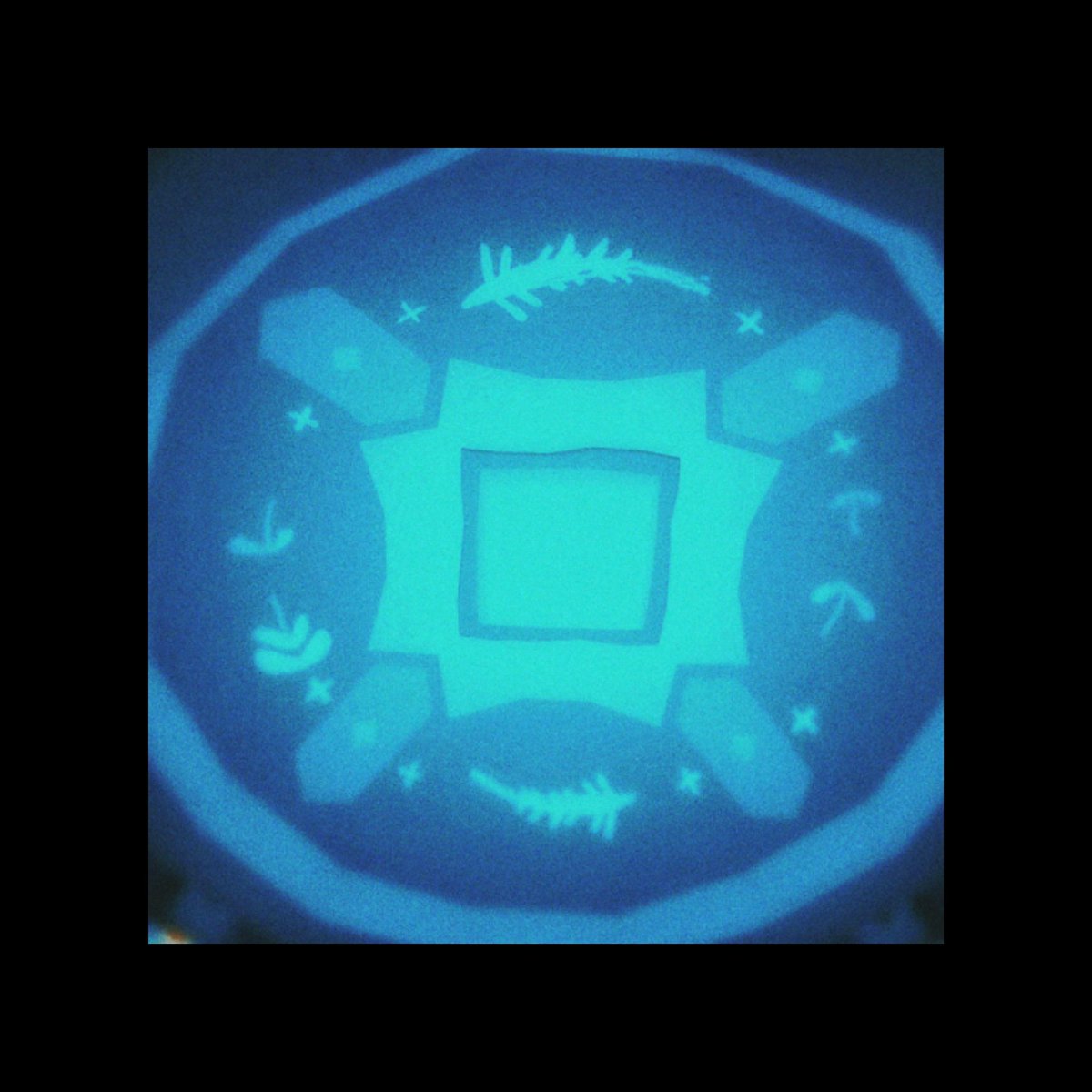 𓆑 (@s_oek1) on Twitter photo 