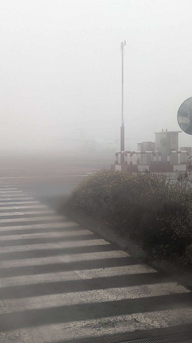 Tenerife Norte no sabe lo que es el verano. Buena fiesta de go arounds hay montada aquí.
