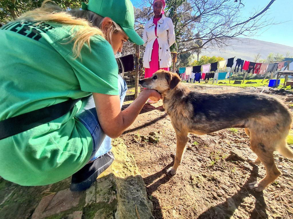 lolsielove's tweet image. Yesterday we spent time on farms educating the workers on caring for their animals,from basic needs like food,shelter and love to important topics like vaccinations,deworming,and sterilisation. Education is such a powerful tool, and days like this remind us why we do what we do