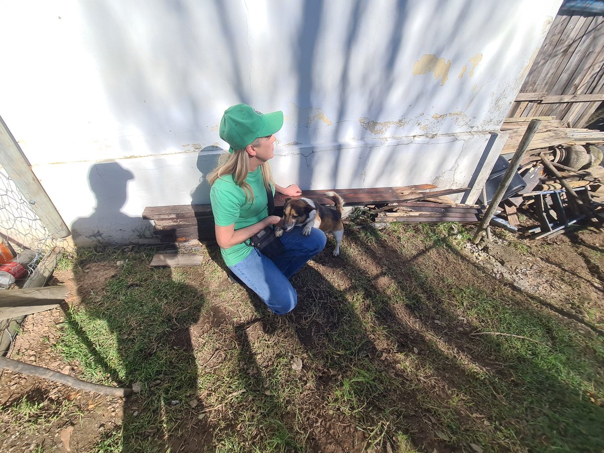 lolsielove's tweet image. Yesterday we spent time on farms educating the workers on caring for their animals,from basic needs like food,shelter and love to important topics like vaccinations,deworming,and sterilisation. Education is such a powerful tool, and days like this remind us why we do what we do