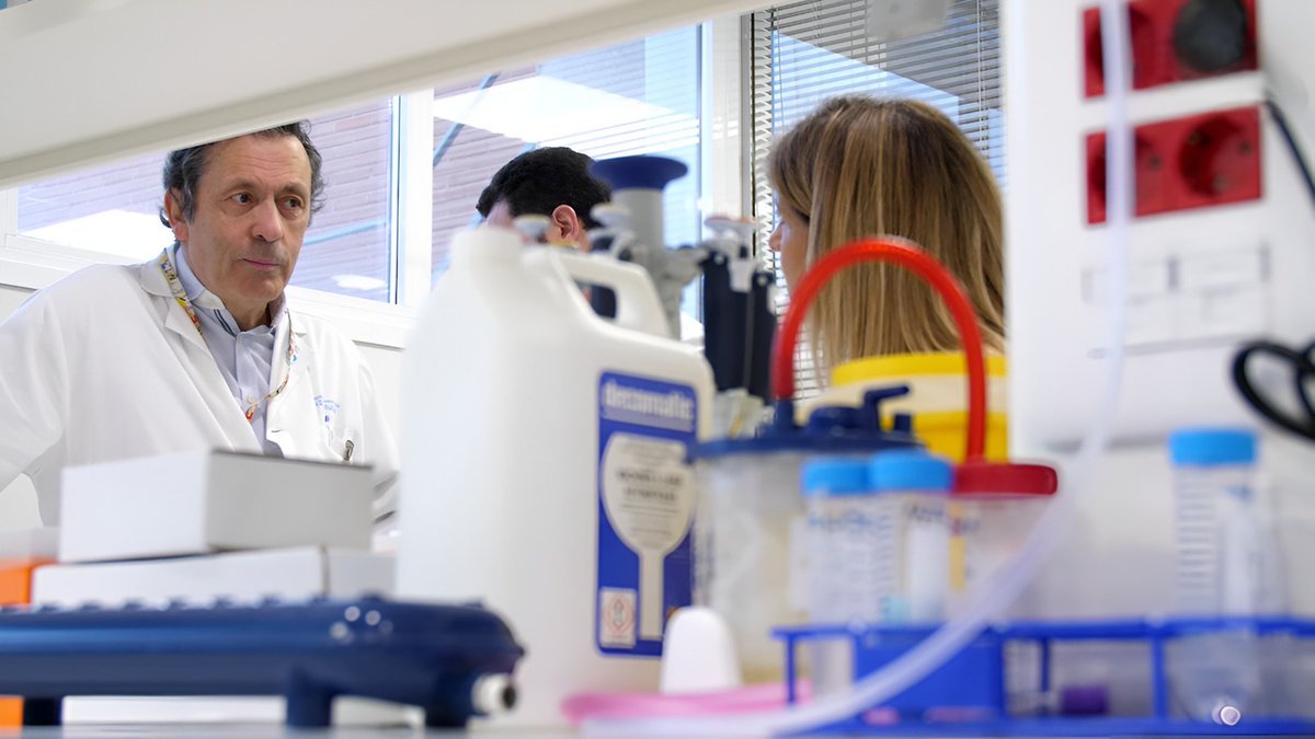 Hospital Universitario 12 de Octubre (@h12octubre) on Twitter photo 👨⚕️ Doctor Luis Paz-Ares, jefe de Oncología Médica del #Hospital12deOctubre, ganador de una ayuda de la <a href="/FundacionECR/">Fundación Eurocaja Rural</a> para investigación en cáncer de pulmón.
🔬 Objetivo: promover avances científicos con gran impacto social en esta enfermedad.
👏 Enhorabuena!!. #somosdel12 👨⚕️ Doctor Luis Paz-Ares, jefe de Oncología Médica del #Hospital12deOctubre, ganador de una ayuda de la <a href="/FundacionECR/">Fundación Eurocaja Rural</a> para investigación en cáncer de pulmón.
🔬 Objetivo: promover avances científicos con gran impacto social en esta enfermedad.
👏 Enhorabuena!!. #somosdel12