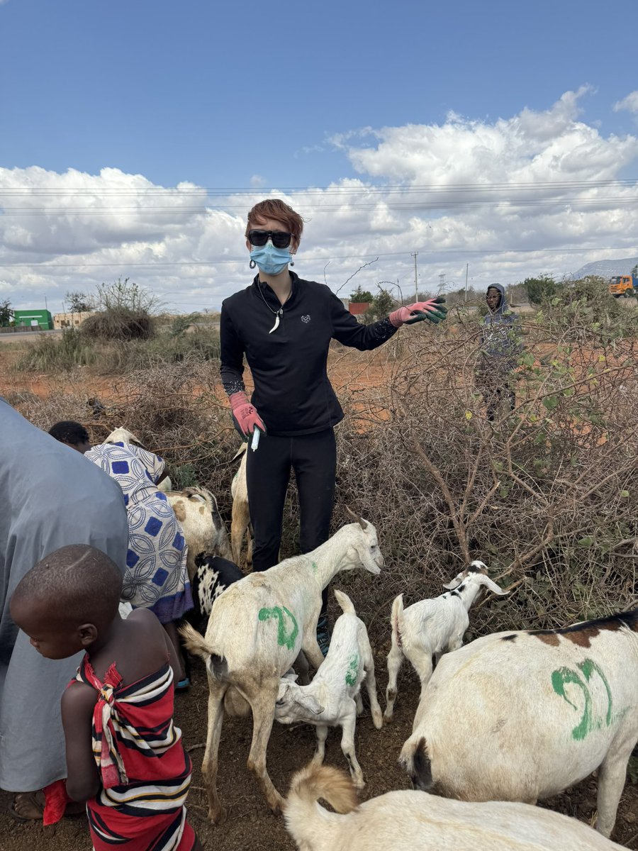 Great Academy Ashton Geography Department tweet media