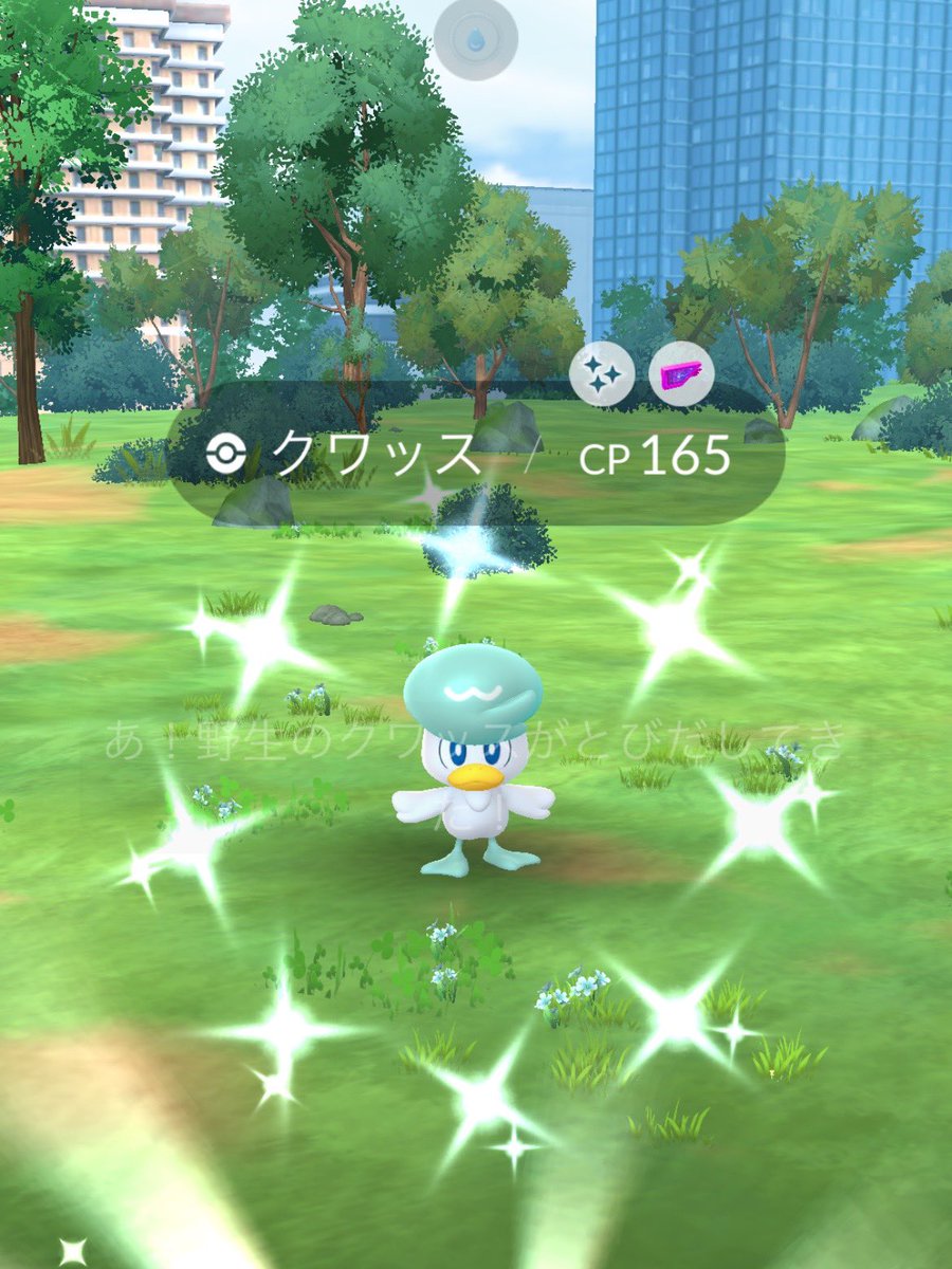 選挙のあと洞峰公園とJAXAの間の道を走ってたら2匹でてびっくり！
くわっす〜コミュお疲れ様でした暑かったですね💦