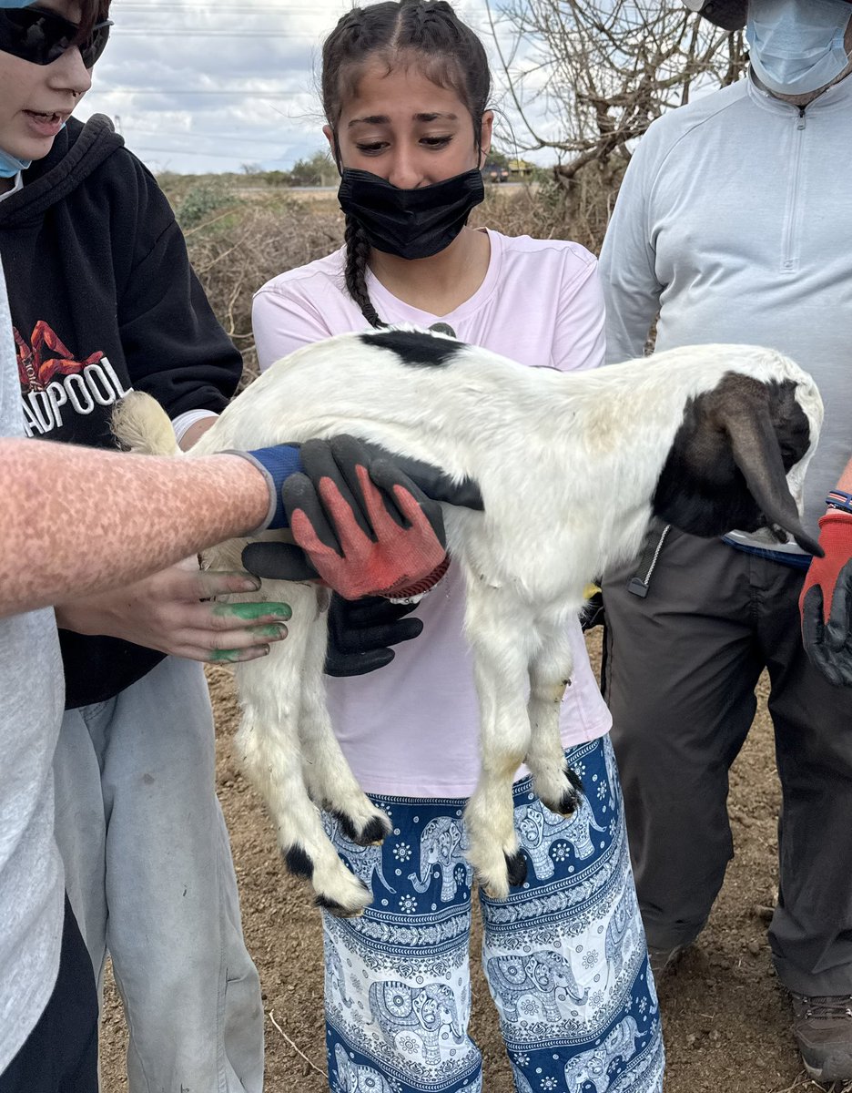 Great Academy Ashton Geography Department tweet media