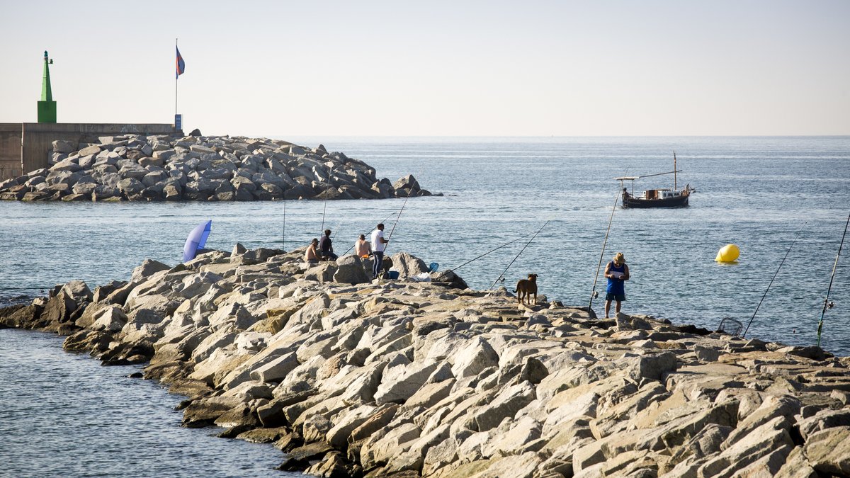 🌊 Vols descobrir la història marinera de la ciutat tot passejant a la fresca?
La Ruta del Mar et convida a conèixer la vinculació de Mataró amb el Mediterrani: els personatges més destacats i mil anècdotes!
🗓️ 10 i 24 d’agost
⏰ 18 h
ℹ️ visitmataro.cat/ca/descobreix/…
#VisitMataró