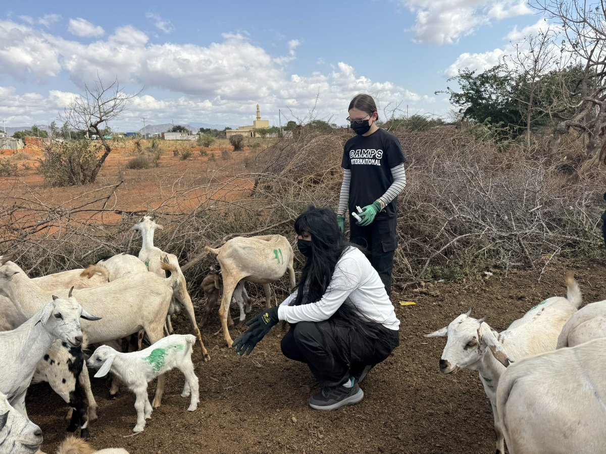 Great Academy Ashton Geography Department tweet media