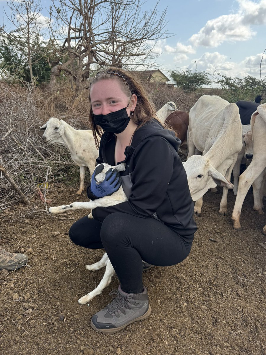 Great Academy Ashton Geography Department tweet media