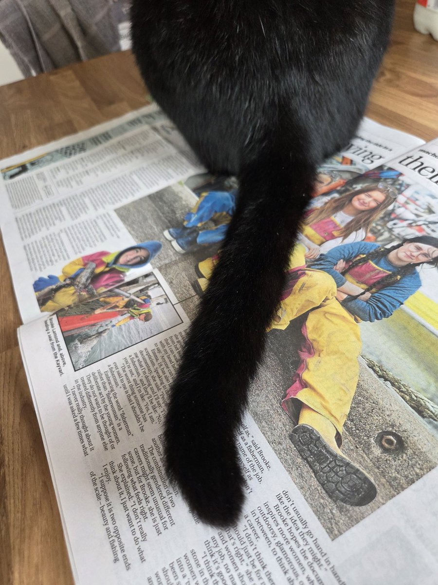 phil_creighton's tweet image. Oi! I was reading that!
Will have to wait for this tail to budge before I can read the latest Oor Wullie tale in The @Sunday_Post