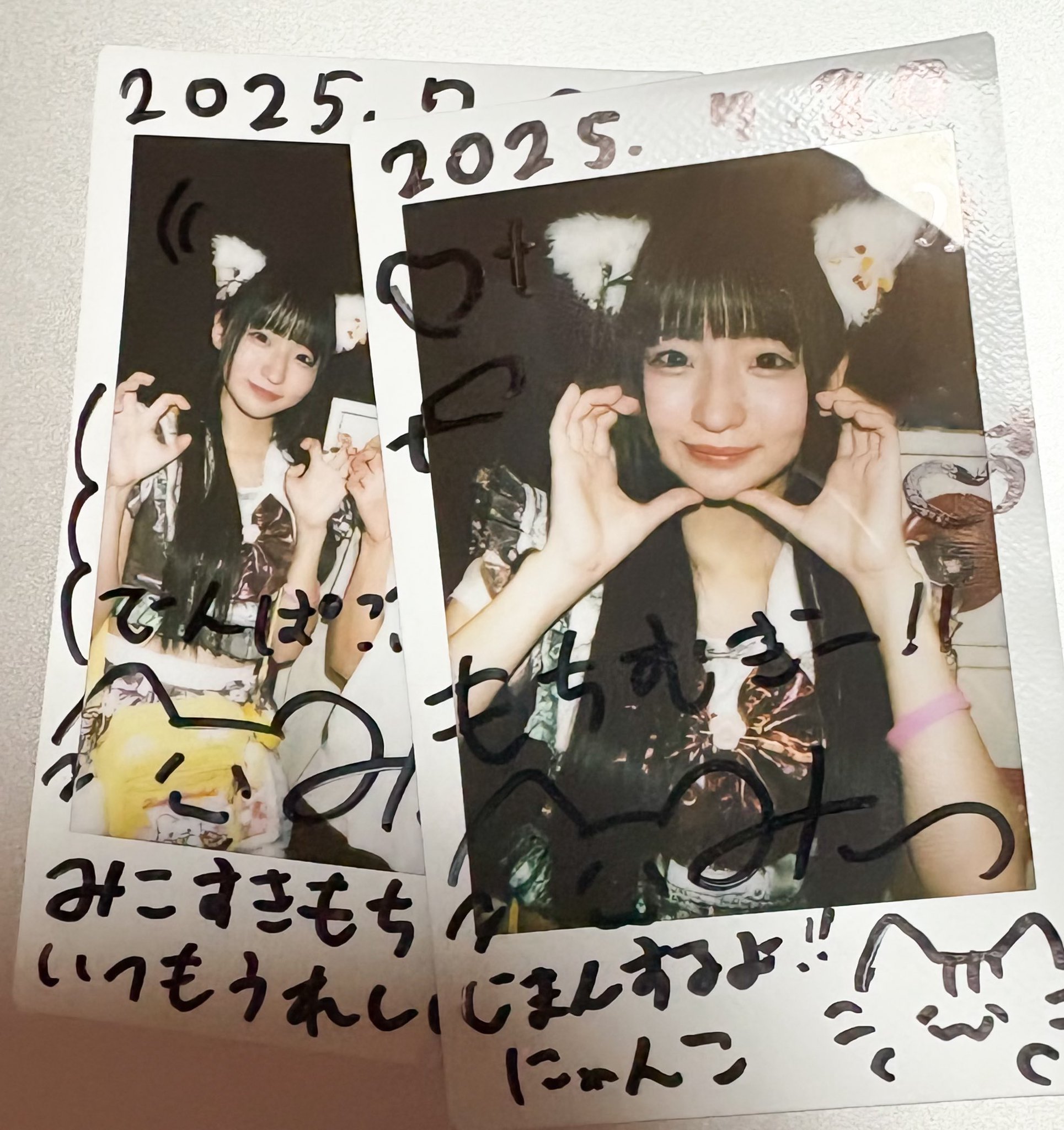 どんぐりアート♡「猫帽子十五夜お月様BIG」 公式の どんぐりアート♡「猫帽子十五夜お月様BIG」 - フラワー