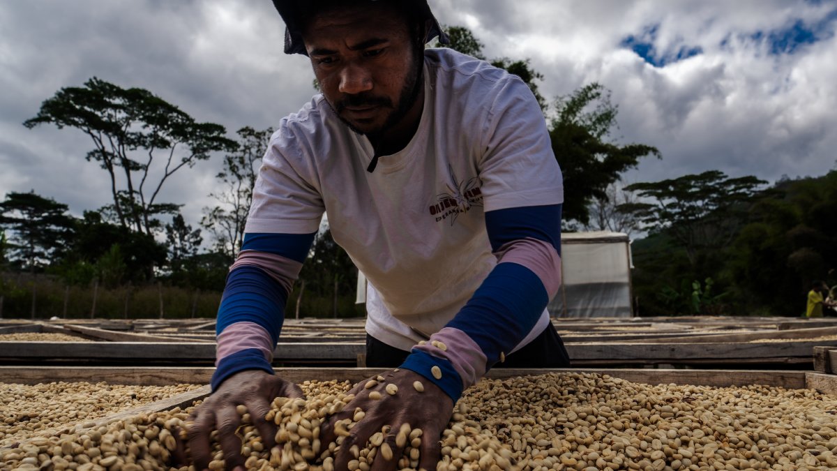 ADBPresident's tweet image. In Timor-Leste’s coffee-growing communities, I met farmers like Fernando and Angelica who proudly shared how new techniques are boosting yields, incomes, and food security.
Beyond short-term gains, they see this as an investment in their future—for their families, communities,…