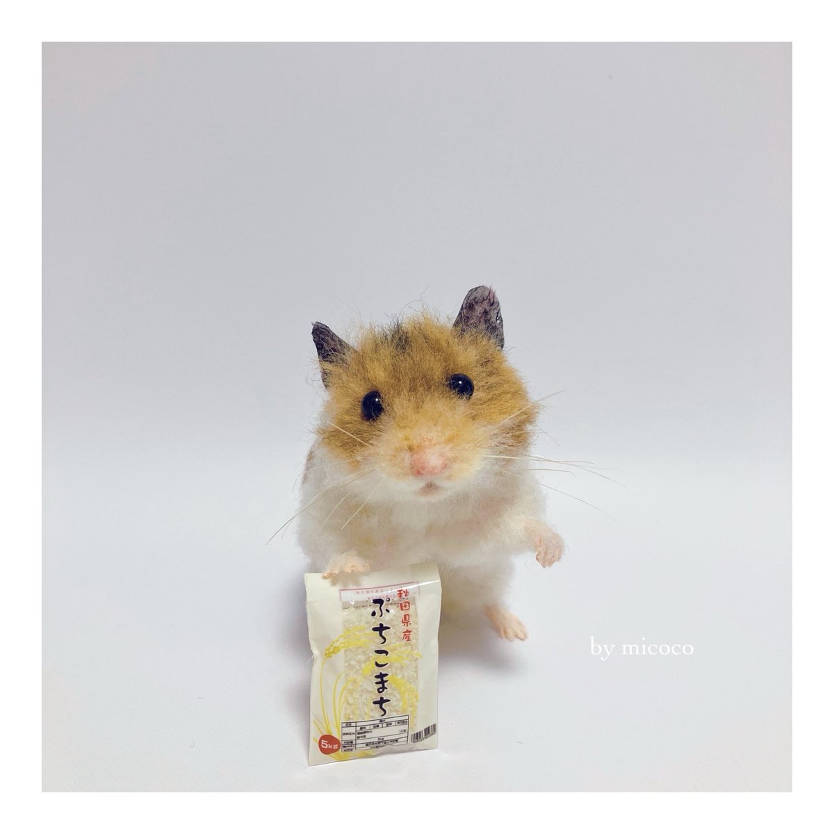 micoco_ham's tweet image. ■2025/07/20
お米が高くて買えないでち😭!
#羊毛フェルト #羊毛フェルトハムスター
#羊毛ハムスター #ハムスター
