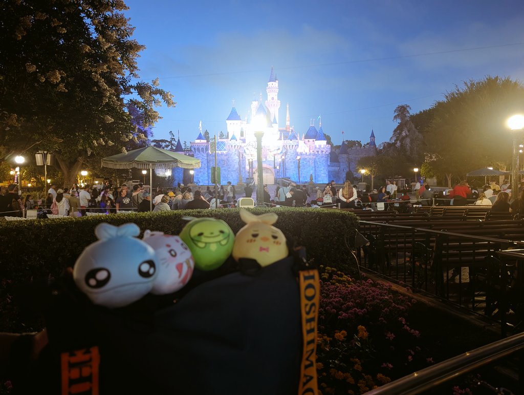 ninjaofthesands's tweet image. Went to Disneyland today and these guys decided to tag along because their little raccoon friend said it was fun #kamogumi #lazufish #Miyuora #Toffeevt