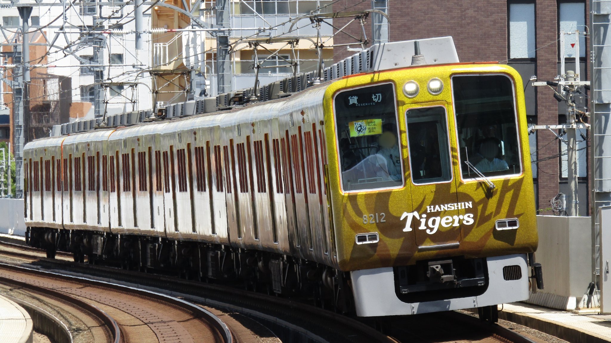 阪神　号外 BBM2007 阪神タイガース レギュラーカード No.T053 水落暢明