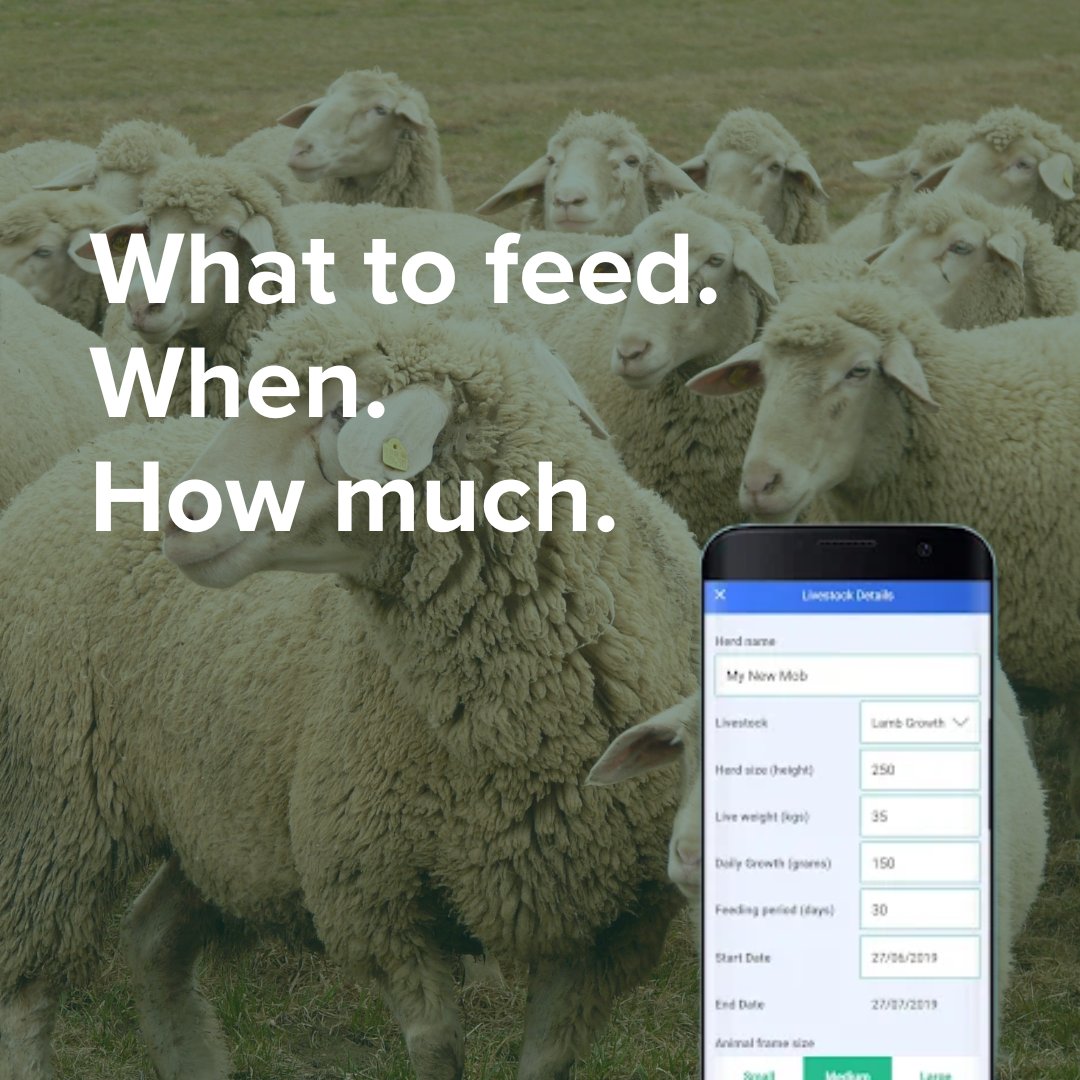 Feeding stock through dry times is hard enough without second-guessing every decision.

The Drought and Supplementary Feed Calculator helps take the stress out of ration feeding.

👉 Get started: loom.ly/qqLDPEQ