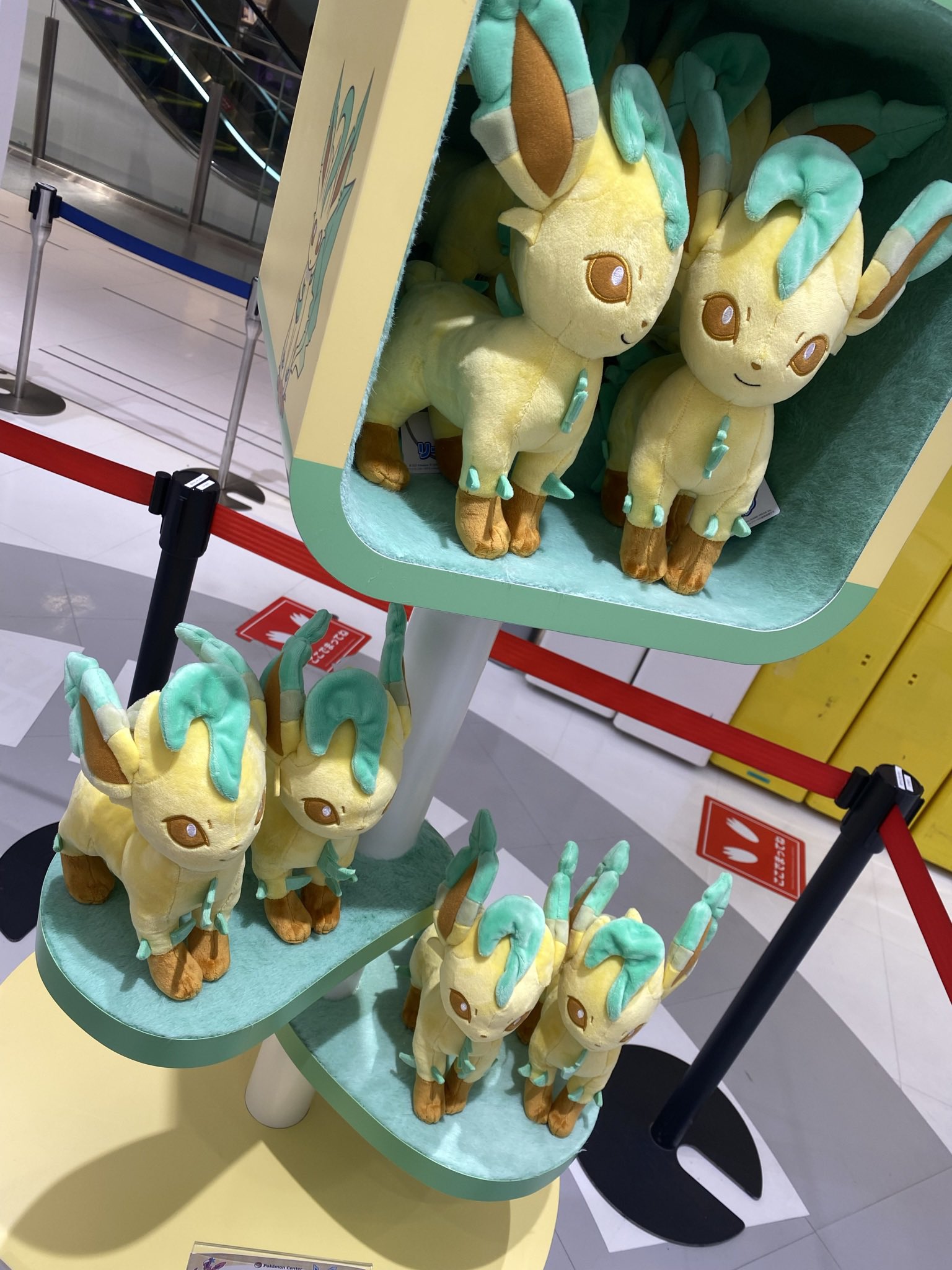 リーフィアグッズ情報局🌱 (@suo_leafeon) / X