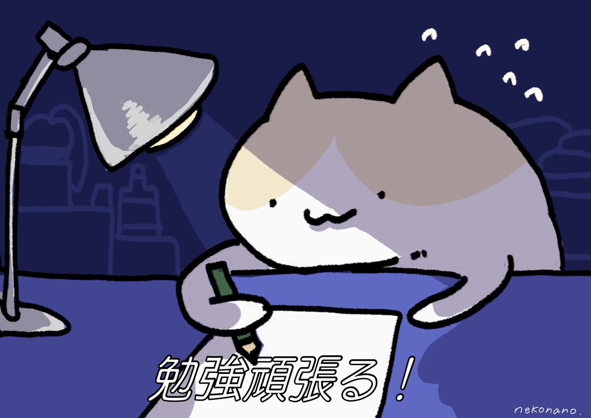 nekonano_28's tweet image. 勉強中に限って気になるの。ねこなの。