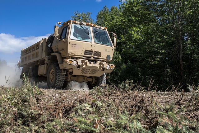 Lokaal Belangrijk vindt dat Defensie op de #Leusderheide prioriteit moet krijgen boven de wolf. Het terrein is bedoeld voor militaire oefeningen. <a href="/mailanievk/">𝙼𝚎𝚕𝚊𝚗𝚒𝚎 🦊kuilen-Kroeze 💚</a> stelde hierover vragen aan het college. #Leusden #wolf
 leusderkrant.nl/lokaal/maatsch…