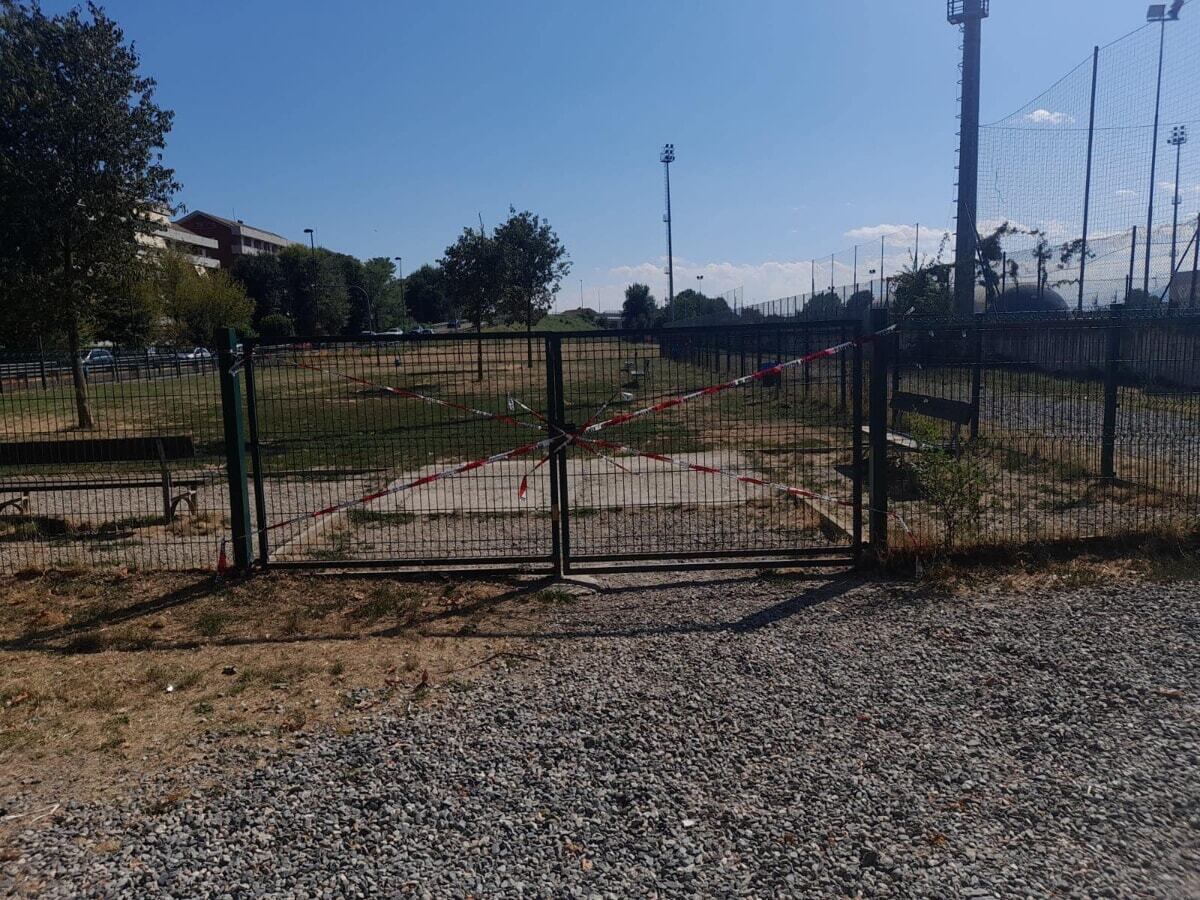 Torino Today tweet media