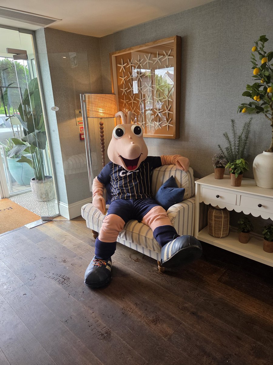 shrimp_sammy's tweet image. Good morning shrimpers, today im Going to be chilling.