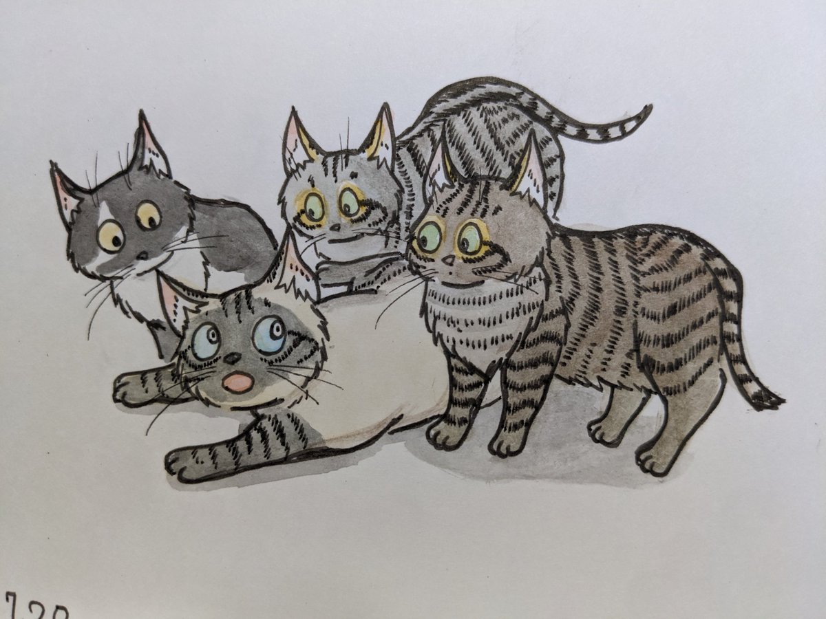 paseri021's tweet image. I come home than patrol.
The outside is dangerous heat. 🥵
Why did you go out? 🤨
Happy #caturday 🍑🫐🍇🍧🍨🍦🥛🩵
#pasericat