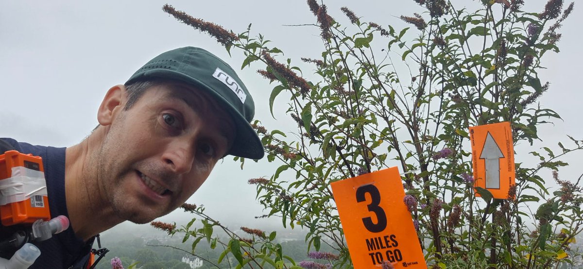 Anthony McGeeney tweet media