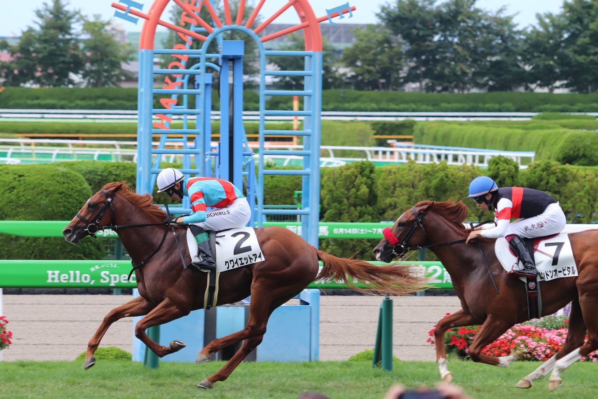 Smart winner for ST MARK'S BASILICA in Japan! 🇯🇵 

Quiet Eye wins his maiden at Hakodate in good style.

#CoolmoreSires #HomeOfChampions