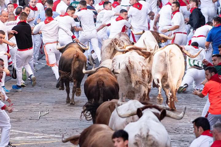 Una gota de agua en el mar del encierro.

Afortunado.