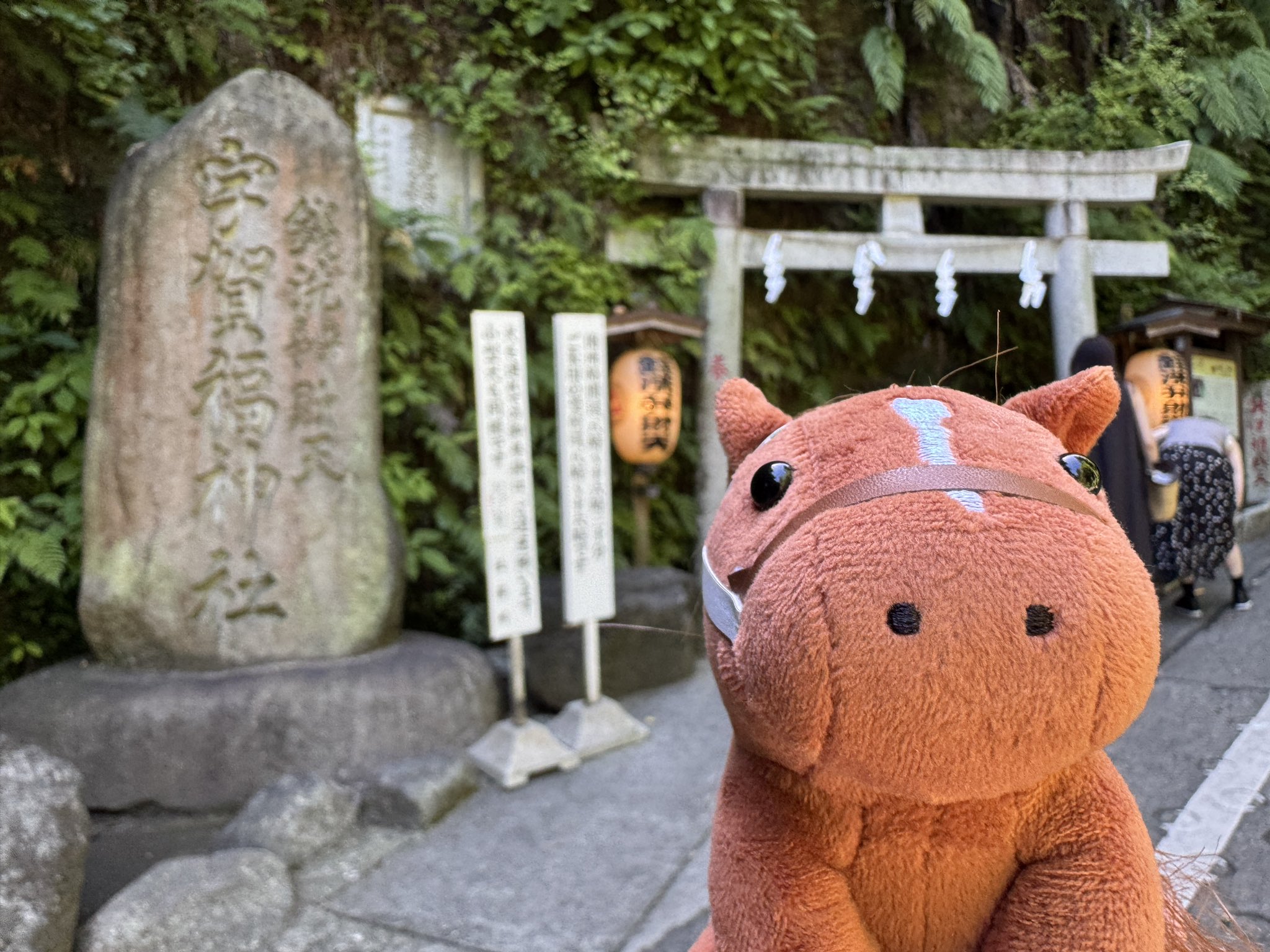 瀬戸大仙画　弁財天 4月30日は、醍醐寺弁天堂開扉用法で宇賀弁財天初公開。 令和7年