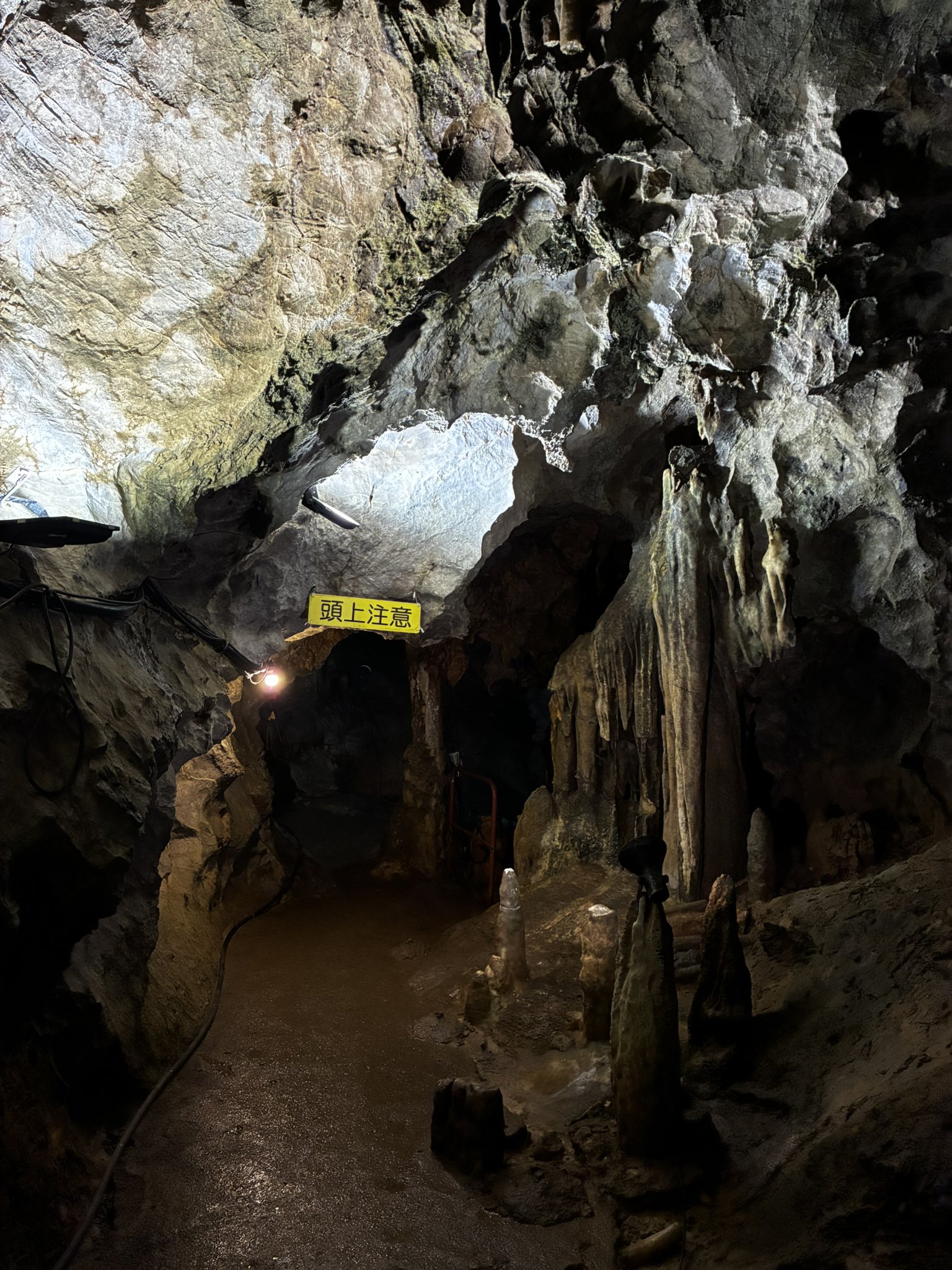 みかんとすーぷ♯ on X: 