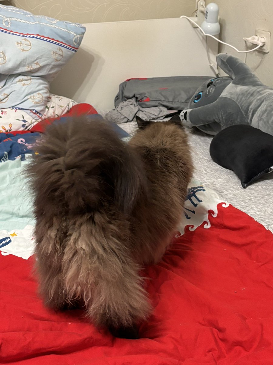 Оцените, пожалуйста, Патрюшу